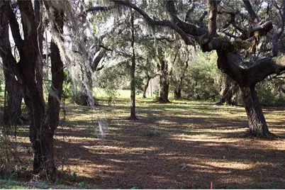 Silent Ridge Drive #47, Tavares, FL 32778 - Photo 25