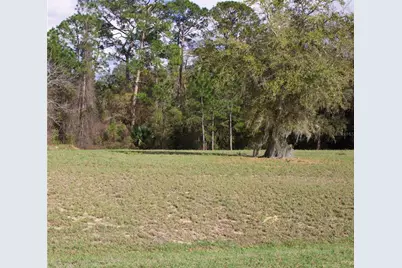 Silent Ridge Drive #47, Tavares, FL 32778 - Photo 7