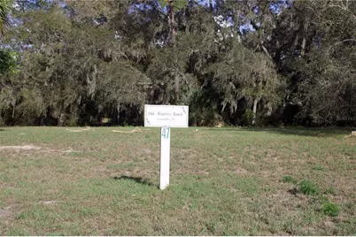 Silent Ridge Drive #47, Tavares, FL 32778 - Photo 35