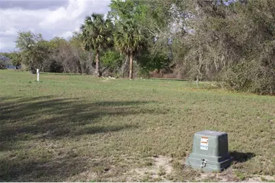 Silent Ridge Drive #47, Tavares, FL 32778 - Photo 31