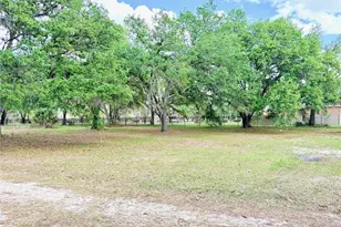 7001 W Dormany Rd, Plant City, FL 33565 - Photo 3