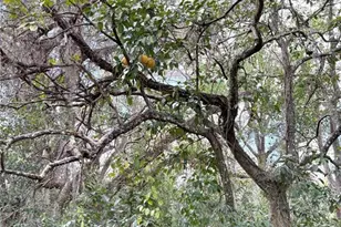 21249 Durden Rd, Dade City, FL 33523 - Photo 27