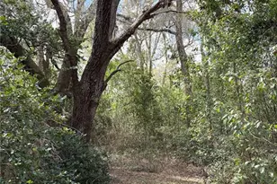 21249 Durden Rd, Dade City, FL 33523 - Photo 15