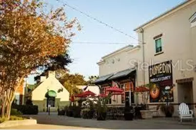 1363 Overlea Drive, Dunedin, FL 34698 - Photo 49