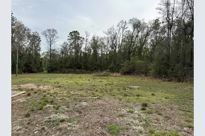 4317 284th Street, Branford, FL 32008 - Photo 17