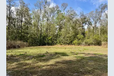 4317 284th Street, Branford, FL 32008 - Photo 19