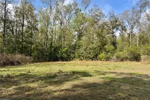 4317 284th St, Branford, FL 32008 - Photo 19