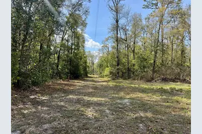 4317 284th Street, Branford, FL 32008 - Photo 15