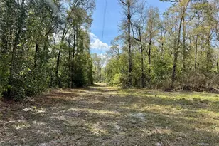 4317 284th St, Branford, FL 32008 - Photo 15