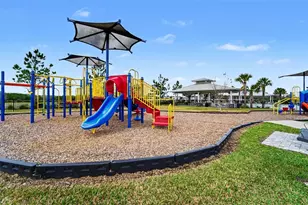 10155 Gliding Eagle Wy, Land O Lakes, FL 34638 - Photo 19