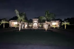 2620 Tylers Riv Run, Lutz, FL 33559 - Photo 3