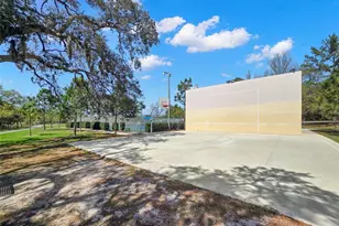 2221 Terrace Dr N, Clearwater, FL 33765 - Photo 51