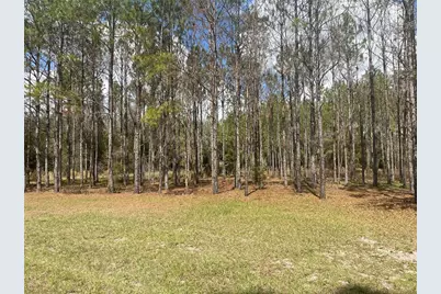 Sr 471, Webster, FL 33597 - Photo 11