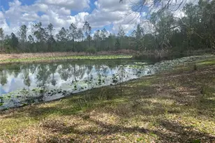 Sr 471, Webster, FL 33597 - Photo 1