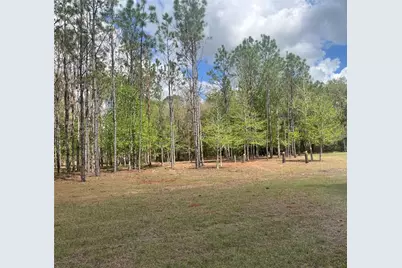 Sr 471, Webster, FL 33597 - Photo 9