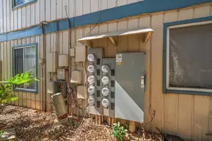 1113 Ohio Ave, Dunedin, FL 34698 - Photo 29