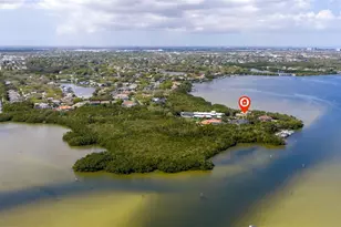 1285 Gasparilla Dr NE, Saint Petersburg, FL 33702 - Photo 55