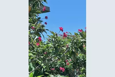 2119 Lullaby Drive, Holiday, FL 34691 - Photo 41