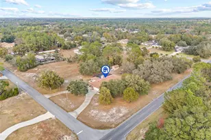 1232 Barranca Ave, Spring Hill, FL 34609 - Photo 63