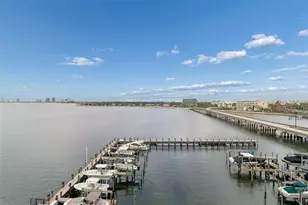 2 Adalia Ave, Tampa, FL 33606 - Photo 5