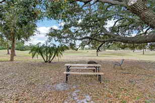 12940 Prestwick Dr, Riverview, FL 33579 - Photo 27