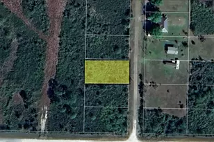 701 Boots Dr, Lorida, FL 33857 - Photo 1