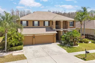 3726 Duke Firth St, Land O Lakes, FL 34638 - Photo 61