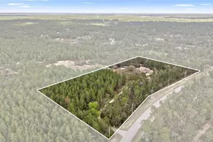 4559 W Dunklin St, Citrus Springs, FL 34433 - Photo 5