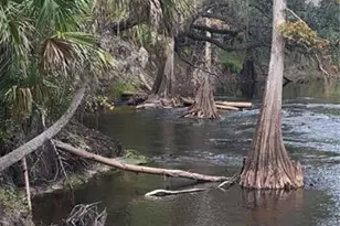 5201 Silverado Way, Valrico, FL 33596 - Photo 43