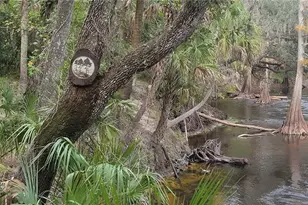 5201 Silverado Way, Valrico, FL 33596 - Photo 45