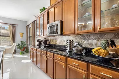 20120 Shady Hill Lane, Tampa, FL 33647 - Photo 9