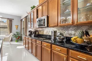 20120 Shady Hill Ln, Tampa, FL 33647 - Photo 9