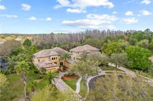 20120 Shady Hill Ln, Tampa, FL 33647 - Photo 79