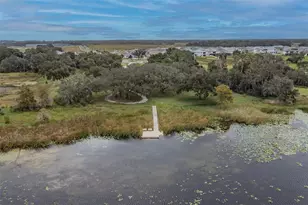 31385 Tansy Bnd, Wesley Chapel, FL 33545 - Photo 77