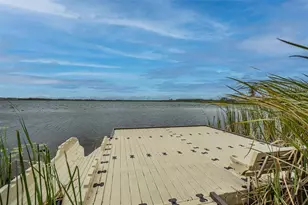 31385 Tansy Bnd, Wesley Chapel, FL 33545 - Photo 79