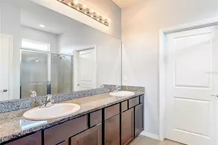 31385 Tansy Bnd, Wesley Chapel, FL 33545 - Photo 29