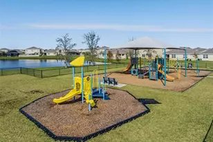 31385 Tansy Bnd, Wesley Chapel, FL 33545 - Photo 67