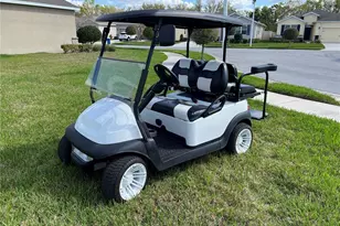 31385 Tansy Bnd, Wesley Chapel, FL 33545 - Photo 5