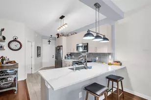 316 8th St S, Saint Petersburg, FL 33701 - Photo 7