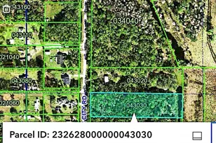 Old Dade City Rd, Lakeland, FL 33810 - Photo 1