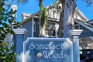 2700 Penzance St, Palm Harbor, FL 34684 - Photo 3