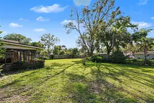 10414 Reclinata Ln, Tampa, FL 33618 - Photo 33