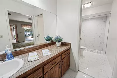 10414 Reclinata Lane, Tampa, FL 33618 - Photo 19