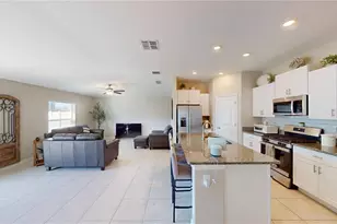 10313 Scarlet Skimmer Dr, Riverview, FL 33578 - Photo 11