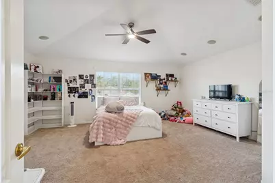 3633 Morgans Bluff Court, Land O Lakes, FL 34639 - Photo 47