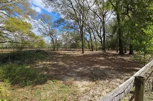 37416 Hackney Pl, Dade City, FL 33523 - Photo 65