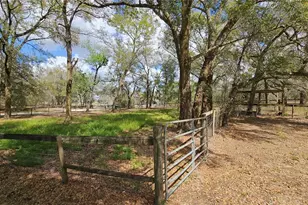 37416 Hackney Pl, Dade City, FL 33523 - Photo 63