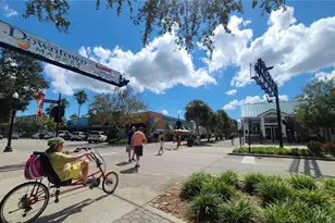 2009 Hammock Pine Blvd, Clearwater, FL 33761 - Photo 39