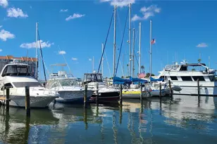 2009 Hammock Pine Blvd, Clearwater, FL 33761 - Photo 41