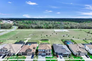 14261 Swiss Bridge Dr, Riverview, FL 33579 - Photo 69